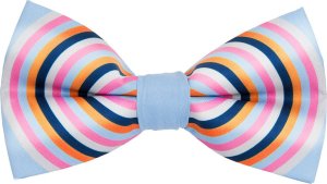 Zegarek Cavaldi Zegarek męski Charles BowTie NELSA.N.B niebieski 5