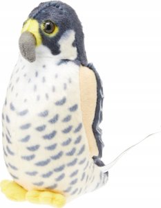 Fremeaux Wild Republic Birds with Sound Peregrine Falcon 3