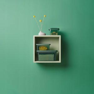 Moxom Pojemnik plastikowy Base 1,5 L Zielony 5