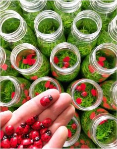 Babaryba Petit Boum, Butelka dźwiękowa - BIEDRONKI 5