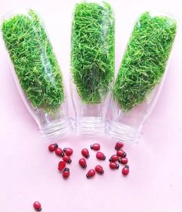 Babaryba Petit Boum, Butelka dźwiękowa - BIEDRONKI 6