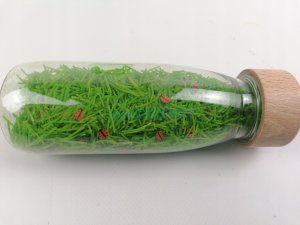 Jellystone Designs Petit Boum, Zestaw 3 Butelek sensorycznych - ŻYCIE 8