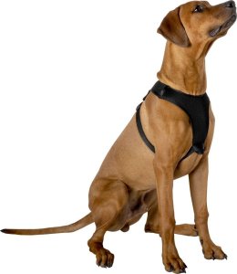 Przyjaciele SZELKI DLA PSA  Z TAŚMĄ ODBLASKOWĄ 59 - 81CM EXTRA LARGE 3