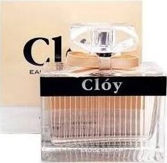 Coach Fragrance World Cloy 100ml EDP 1