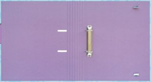 Segregator Verhaak Disney Stitch Tropical - Segregator A4 (2 ringi, gumka) 3