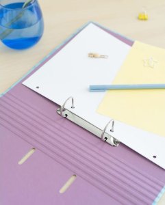 Segregator Verhaak Disney Stitch Tropical - Segregator A4 (2 ringi, gumka) 6