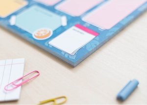 Pusheen Disney Stitch - Planner tygodniowy 54 strony A4 5