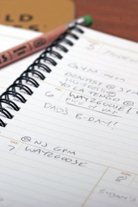 Vintage Publishing Planer 56Tygodniowy Field Notes 4