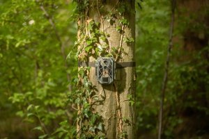 Kamera cyfrowa Genway Camouflage trail camera EZ2 Elite 4