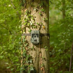 Kamera cyfrowa Samsung Camouflage trail camera SM4 Pro 4