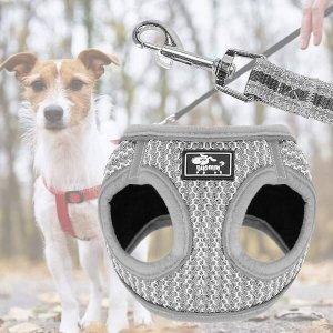 Springos Komplet szelki bezuciskowe dla psa, kota L 14-20 kg + smycz 150 cm szara UNIWERSALNY 11