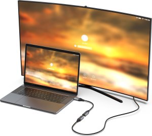 Adapter AV Equip Equip Displayport->HDMI Adapter 1.2 St/Bu    4K/60Hz grau 3