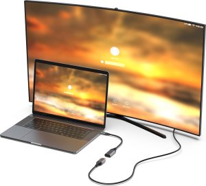 Adapter AV Equip Equip Adapter USB-C -> DisplayPort 1.4       8K60Hz 0.15m gr 2