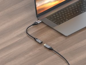 Adapter AV Equip Equip Displayport->HDMI Adapter 1.4 St/Bu    8K/60Hz grau 4
