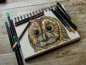 Posca Posca - Color Pencils - Bright and intense colors (36 pcs) (402005) 9