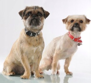 Mason Cash Underlägg Pawtrait 3