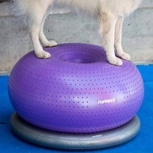 FitPAWS FitPAWS Piłka do balansowania dla zwierząt TRAX Donut 55 cm, fioletowa 4