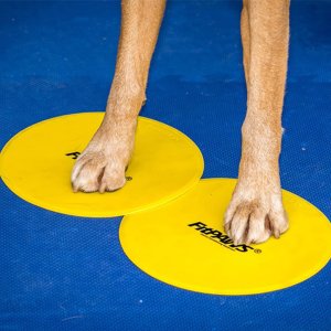 FitPAWS FitPAWS Znaczniki, 4 szt., żółte i niebieskie 1