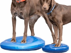 FitPAWS Dysk równoważny dla zwierząt, 36 cm, niebieski 5