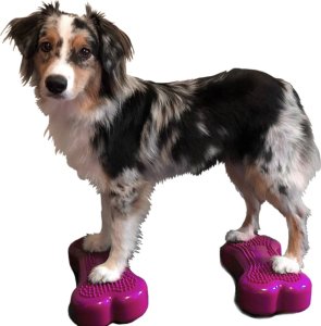 FitPAWS FitPAWS Platforma równoważna Mini K9FITbone, 2 szt., 29x16,5x6 cm 1