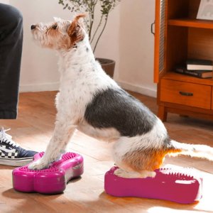 FitPAWS FitPAWS Platforma równoważna Mini K9FITbone, 2 szt., 29x16,5x6 cm 3