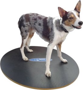 FitPAWS FitPAWS Deska równoważna, 50 cm, czarna 3