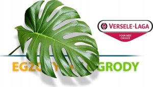 Versele-Laga VERSELE-LAGA 20kg PRESTIGE TROPICAL       FINCHES 2