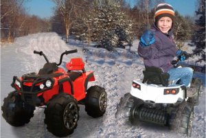 Jamara Jamara Ride-on Quad Protector 12V rot                     3+ 1