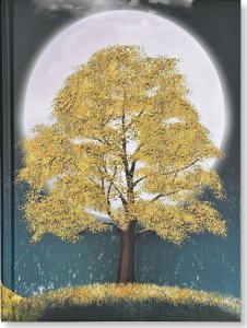 Peter Pauper Press Notatnik Szyty Pozłacany Drzewo Noc± 6