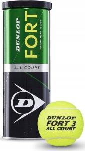 Dunlop Tennis balls Dunlop FORT ALL COURT 3-tin 1