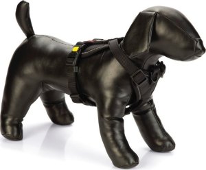 Beeztees PREM Y-HARNESS PARINCA BLCK 53-65X25 2