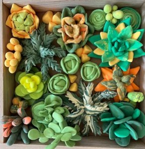 Maksik Zestaw kreatywny Wood&Craft DIY Sukulenty 21x21cm Energia 10009 3