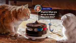 Kamera IP Enabot Family Robot IP Camera | ROLA PetPal | 5 MP | Micro SD, Max. 256GB 3