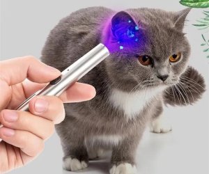 Bailong Latarka led uv długopis punktowa magnes tester usb Latarka led uv długopis punktowa magnes tester usb 3