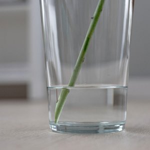 Trend Glass Wazon szklany na kwiaty stożek 29,5 cm Alyssa 4