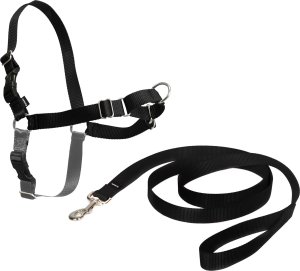 PetSafe Petsafe Easy Walk® Harness XL juodos petnešos lengvam pasivaikščiojimui (apimtis 86-117cm) 1