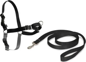 PetSafe Petsafe Easy Walk® Harness XL juodos petnešos lengvam pasivaikščiojimui (apimtis 86-117cm) 2