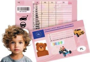 Import SUPER-TOYS TRAKTOR NA AKUMULATOR Z PILOTEM, SUPER JAKOŚĆ/HSD-6602 29