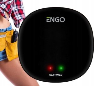 Engo Engo bramka internetowa ZigBee do urządzeń serii ENGO Smart EGATEZB 3