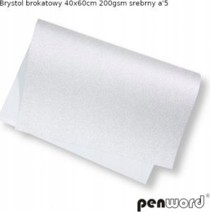 Penword BRYSTOL BROKAT 40x60cm 200gsm SREBRNY a5 1