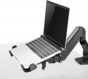 InLine InLine® Notebook holder up to 17" with VESA 75/100 mounting plate 7