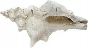 Mikroskop Mikroskop stereoskopowy Delta Optical Discovery 90 3