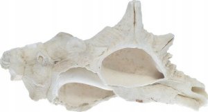 Mikroskop Mikroskop stereoskopowy Delta Optical Discovery 90 4