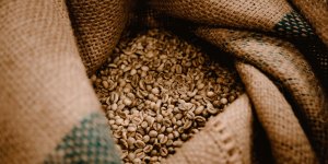 Kawa ziarnista Nuno KAWA ZIARNISTA KENIA ŚWIEŻO PALONA 72H OD WYPALENIA ARABIKA 200 g 4