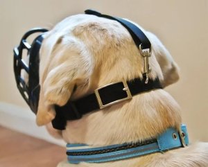 Baskerville Baskerville Kaganiec Ultra-3 czarny 10