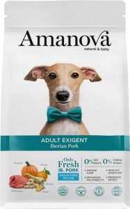 Amanova Amanova  Adult Exigent Iberian Pork 2kg 1