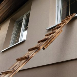 QLS DRABINKA DREWNIANA SCHODY DLA KOTA 5M + HAKI 11