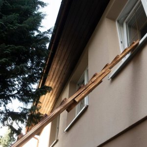 QLS DRABINKA DREWNIANA SCHODY DLA KOTA 5M + HAKI 10