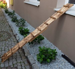 QLS DRABINKA DREWNIANA SCHODY DLA KOTA 6M + HACZYKI 8