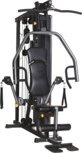 Horizon Fitness Atlas treningowy Torus 3 (100754) Horizon Fitness 2